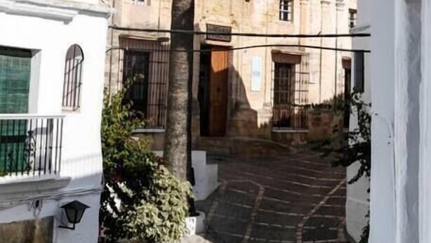 Una calle estrecha con una palmera y edificios blancos.