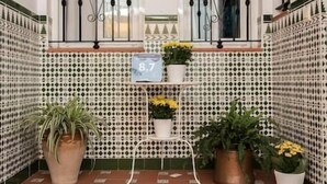 A courtyard with tiled flooring, potted plants, and a sign indicating the room number 8.7. - Apartamento El Cotarro B (Vejer de la Frontera)