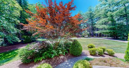 Expansive Designer Estate w/ TV lounge, Spacious Kitchen & Large Yard
