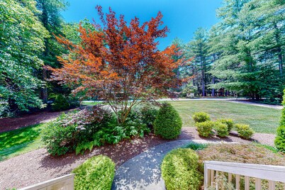 Expansive Designer Estate w/ TV lounge, Spacious Kitchen & Large Yard