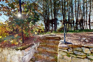 Property grounds - Classic cottage at Burntshirt Vineyards with 2 decks - steps from tasting room (Hendersonville)