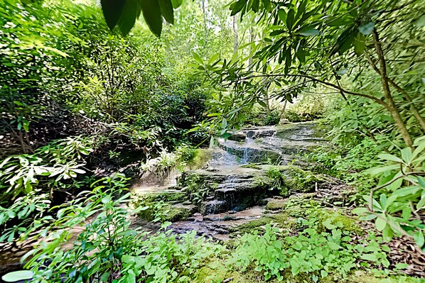 Jardines del alojamiento