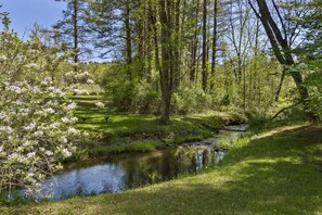 Property grounds - Room to Roam | Delightful Country Farmhouse |Fireplace, Firepit & Fishing Pond (Horse Shoe)
