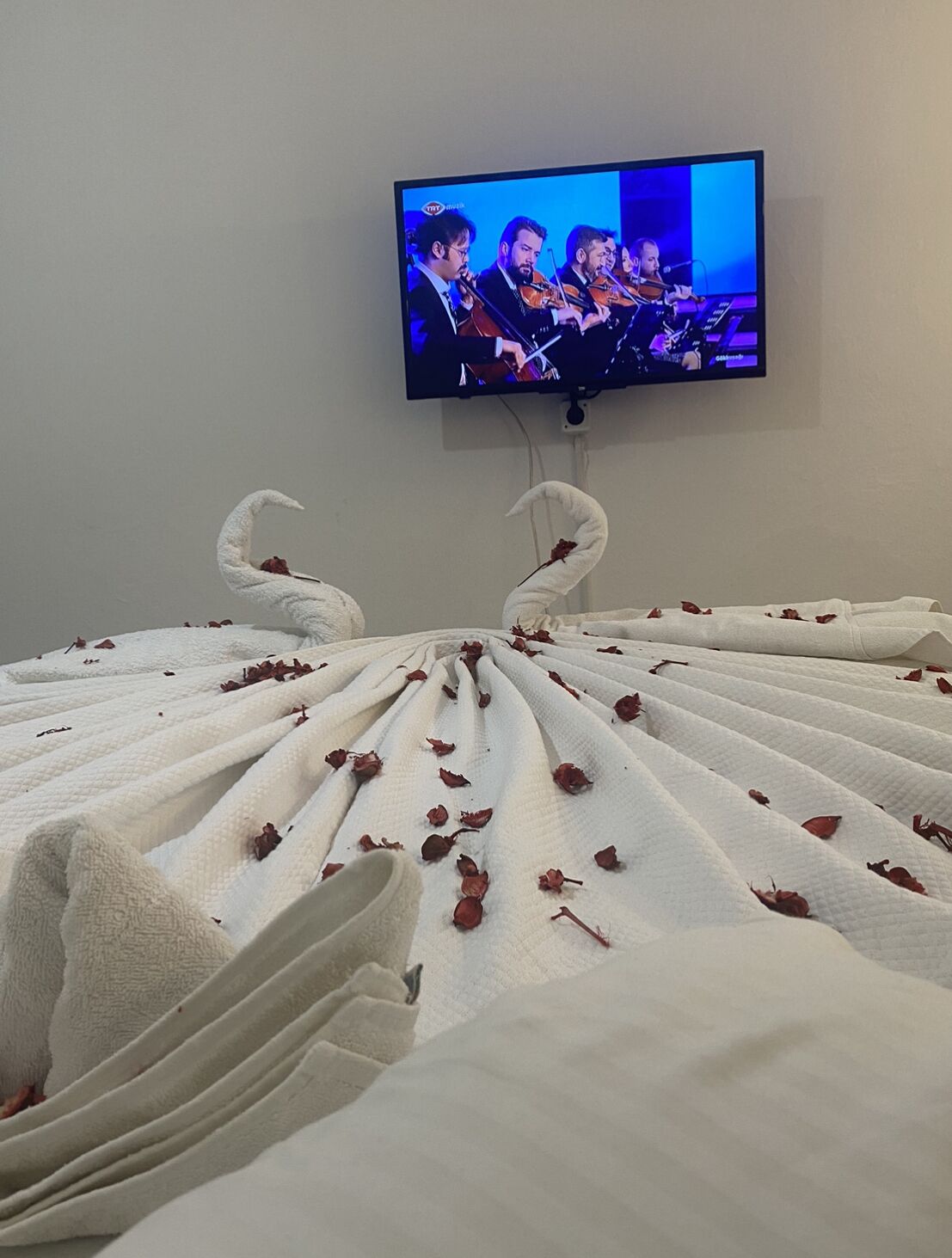 Photo - Nil mars otel