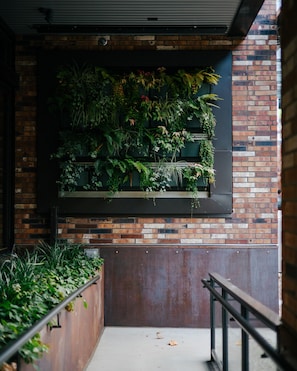 Jardín