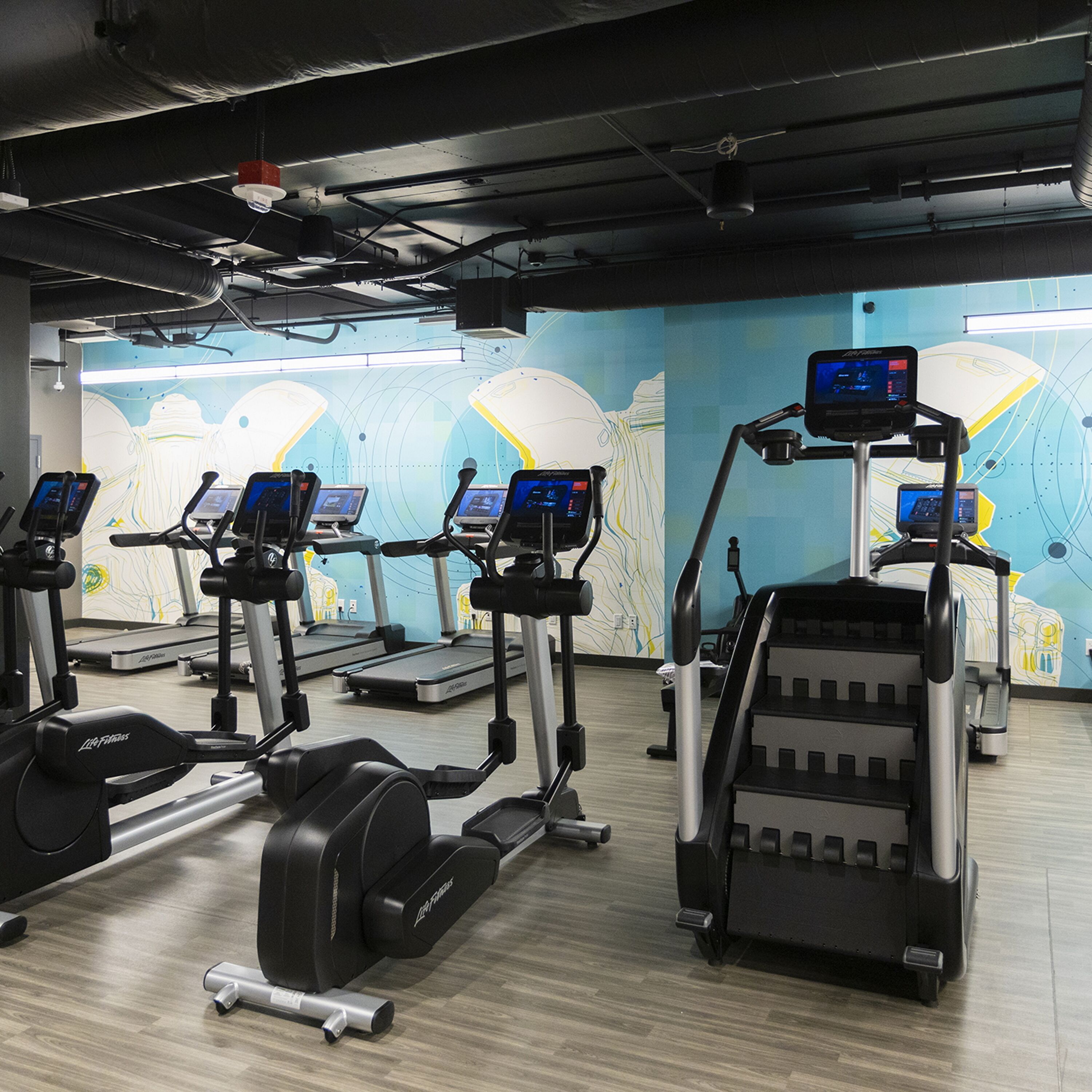 A gym with treadmills, ellipticals, and a rowing machine.