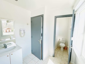 Une salle de bain avec des toilettes, un lavabo et un miroir.
