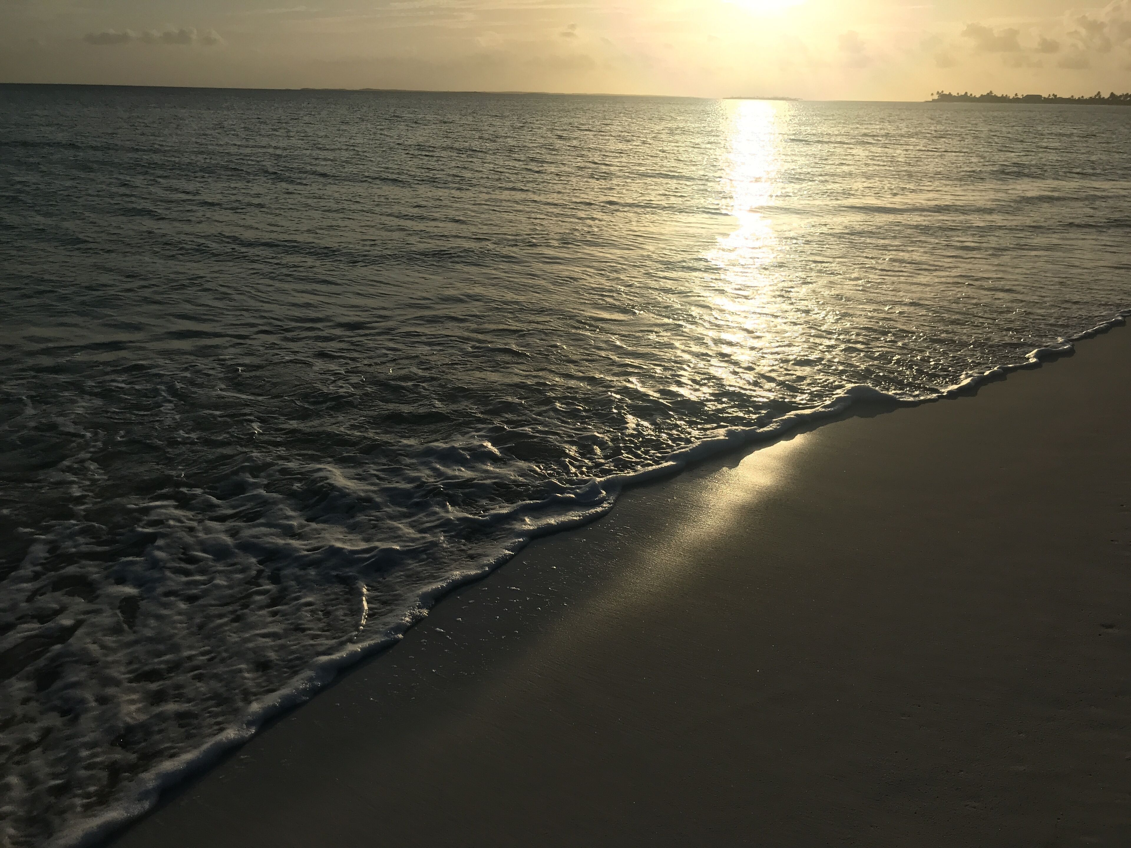 A beach with waves gently lapping onto the shore and the sun setting in the background.