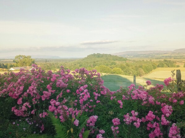 Área da propriedade