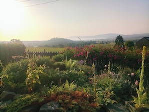 Property grounds - Puddingstone Cottage (Gartmore)