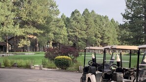 A golf cart parked in a parking lot with a well-maintained lawn and trees in the background.