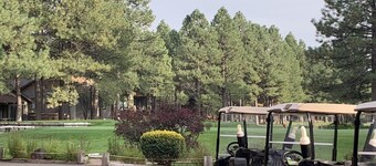 Pinescape- A Retreat in the White Mountains of AZ