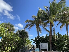Escape to a tropical paradise with lush greenery and a warm atmosphere.