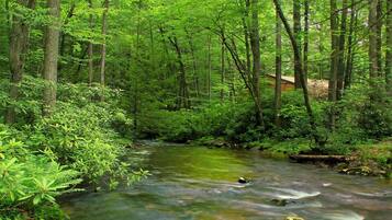 Terrain de l’hébergement