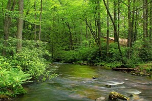 Property grounds - Suite in downtown Nashville (Nashville)