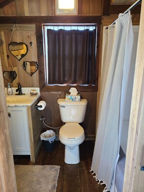 A compact bathroom with a toilet, sink, and shower curtain. - Romantic Country Cabin at Lakeview by Sue  (Appleton City)