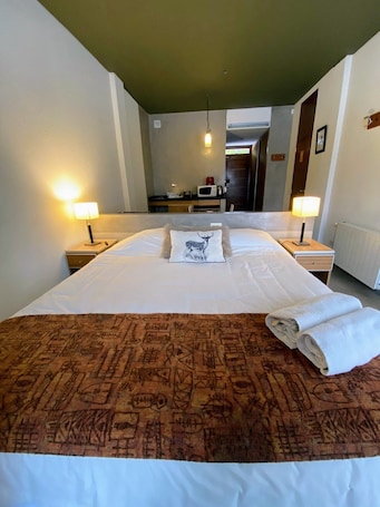 Basic Studio | Minibar, free WiFi, bed sheets