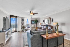 电视、DVD 播放器