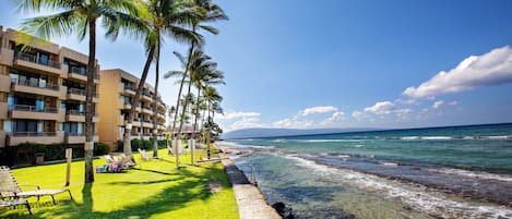 A beachfront hotel with multiple balconies, a grassy lawn, and palm trees.