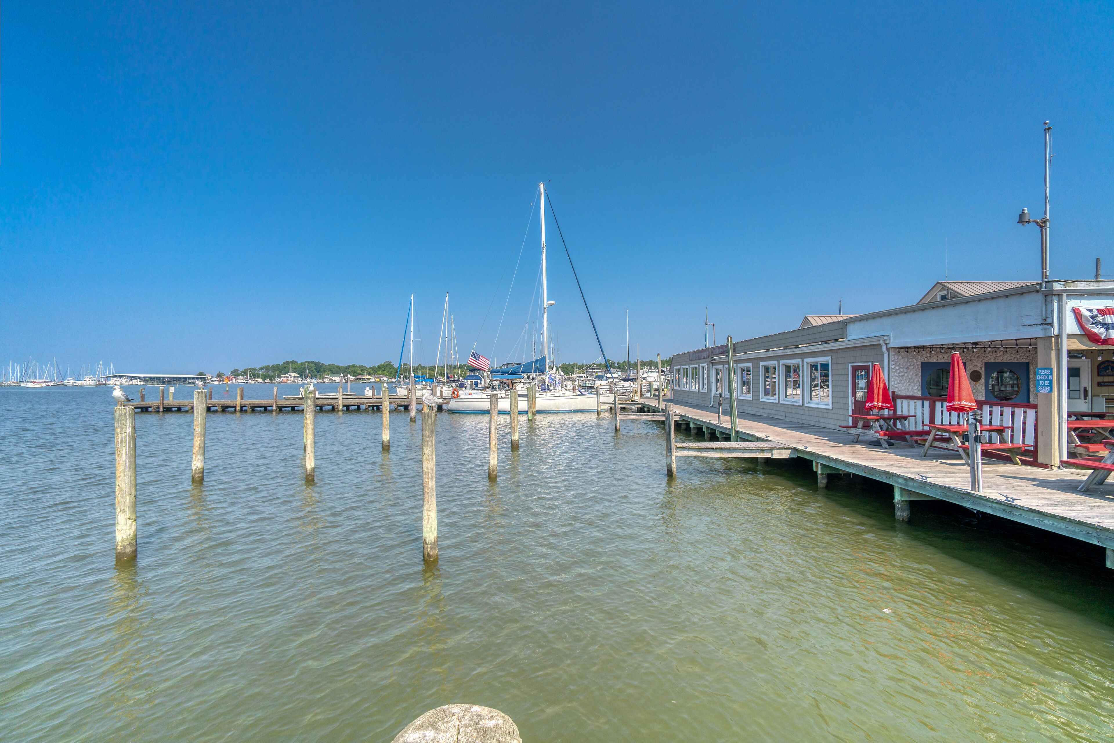 Crab House on the Harbor