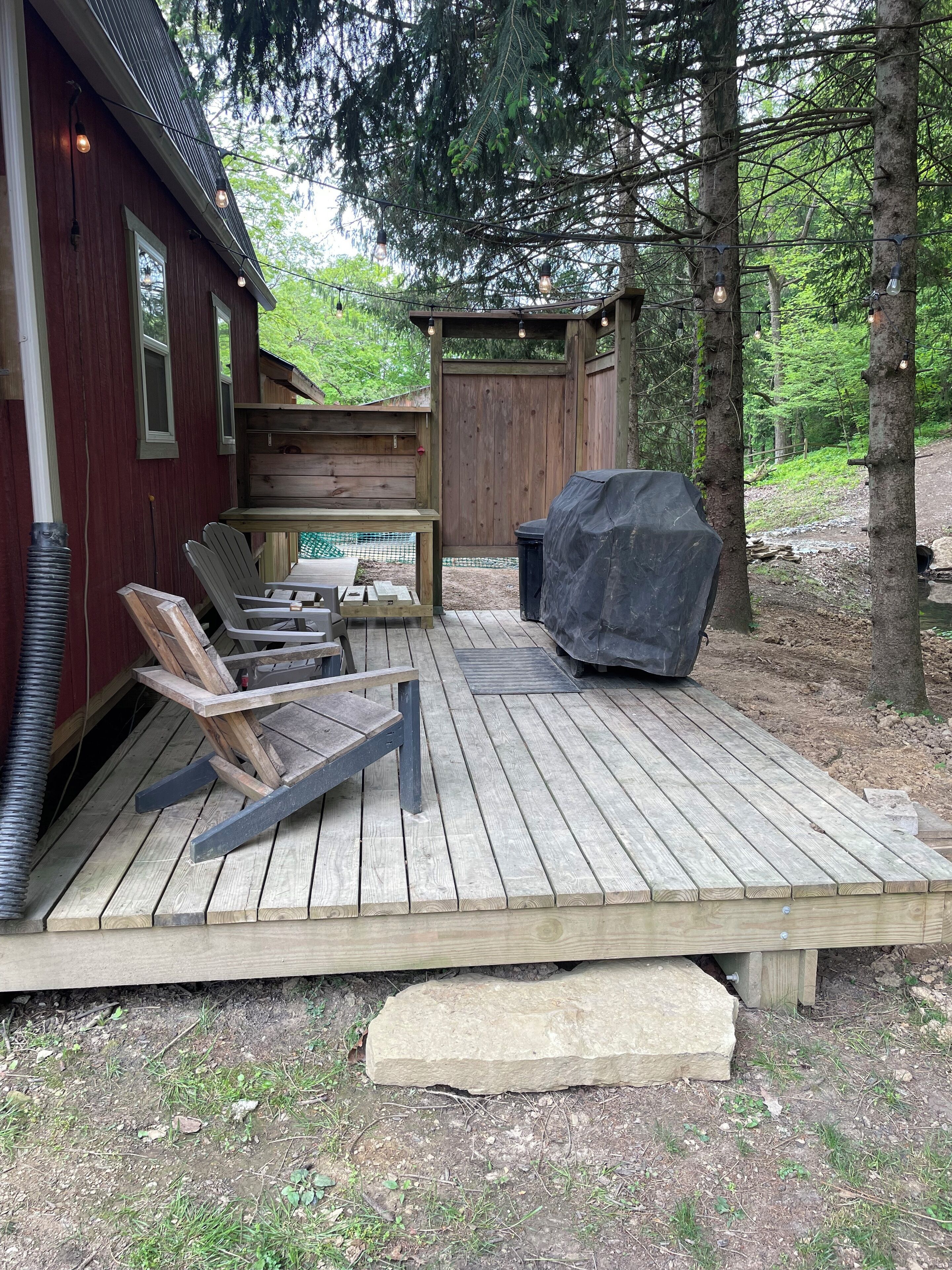 Back deck with grill 
