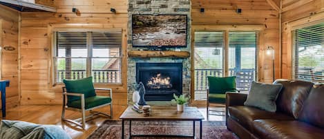 Smart TV, fireplace, DVD player, video library