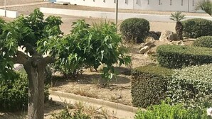 حمام سباحة