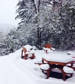 Outdoor dining - CHARMING LOG CABIN..Views..Secluded..Hot Tub..Game Room..Fire Pit..Close to Town (Bryson City)