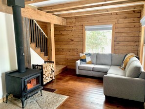 Smart TV, fireplace, DVD player, video library