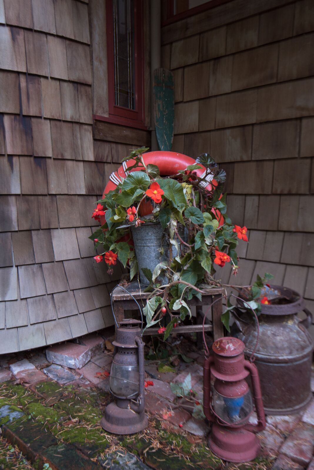 Un décor extérieur rustique avec un mur recouvert de bardeaux de bois, une lanterne en métal et une plante en pot ornée de fleurs rouges.