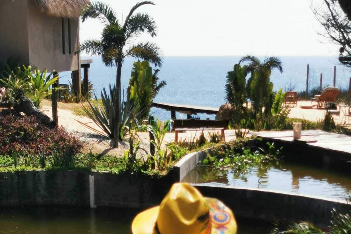 Une personne dans une piscine, portant un chapeau jaune, avec l’océan et des palmiers en arrière-plan.