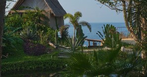 55-inch LED TV with digital channels, TV - Casa A´more (San Pedro Pochutla)