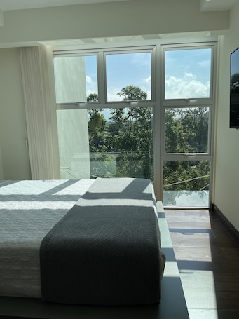1 bedroom, free WiFi. Lovely Apartment near to Costa Rica Airport