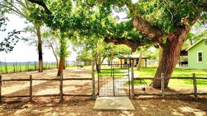 A fenced area with a gate, a pathway, and a building in the background.