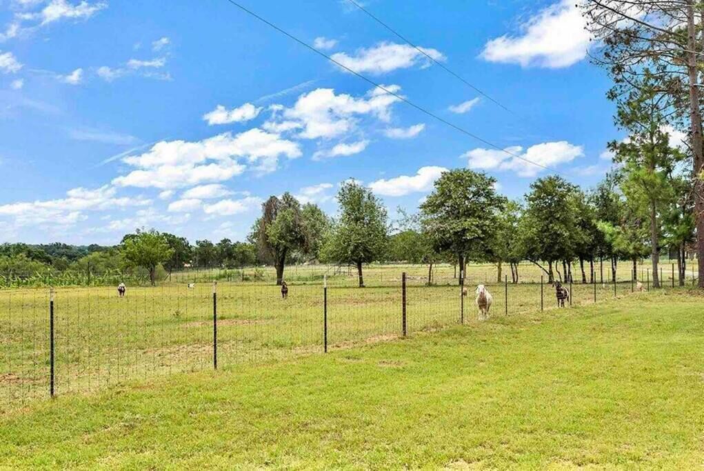 A fenced field with trees and a clear sky.