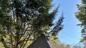 Un mirador de madera con techo inclinado, rodeado de árboles y un sendero de grava.