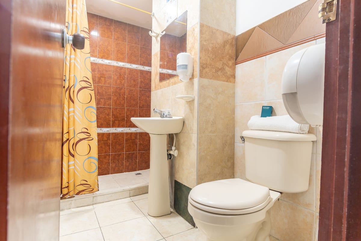 Shower, hydromassage showerhead, free toiletries, towels