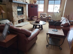 Télévision, cheminée, lecteur de DVD, livres