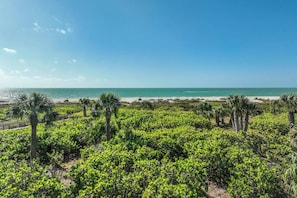 A coastal landscape with a beach, palm trees, and a clear sky. - Snug Harbor 124 Gulf Front three bedroom exclusive vacation rental (Sanibel)