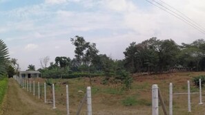 Luokittelematon kuva, 4 kautta 9, painike