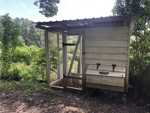 A wooden structure with a mesh door, labeled "EGGS," likely a chicken coop, surrounded by dense greenery.