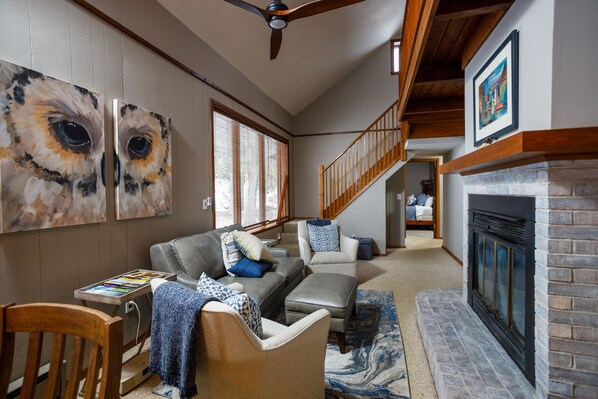 Fireplace, DVD player, books