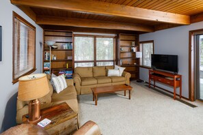 Fireplace, DVD player, books