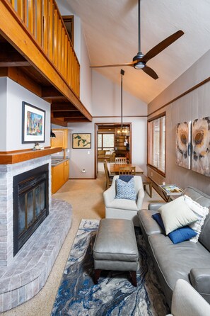 Fireplace, DVD player, books