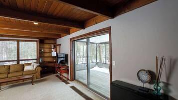 Fireplace, DVD player, books