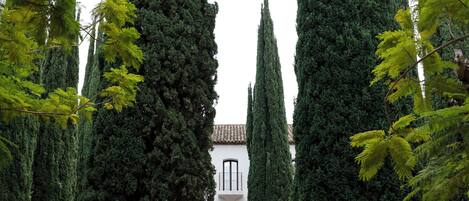 A courtyard with a central fountain, surrounded by tall cypress trees and well-manicured hedges.