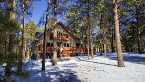Uma cabana rodeada por altas árvores de pinheiro e chão coberto de neve.