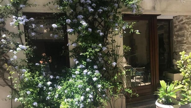 Exterior detail - Studio nestled in an interior courtyard with independent entrance, private patio (Lunel)
