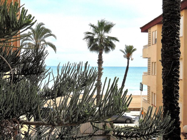 Property grounds - Las Nereidas LEK (Peñiscola)