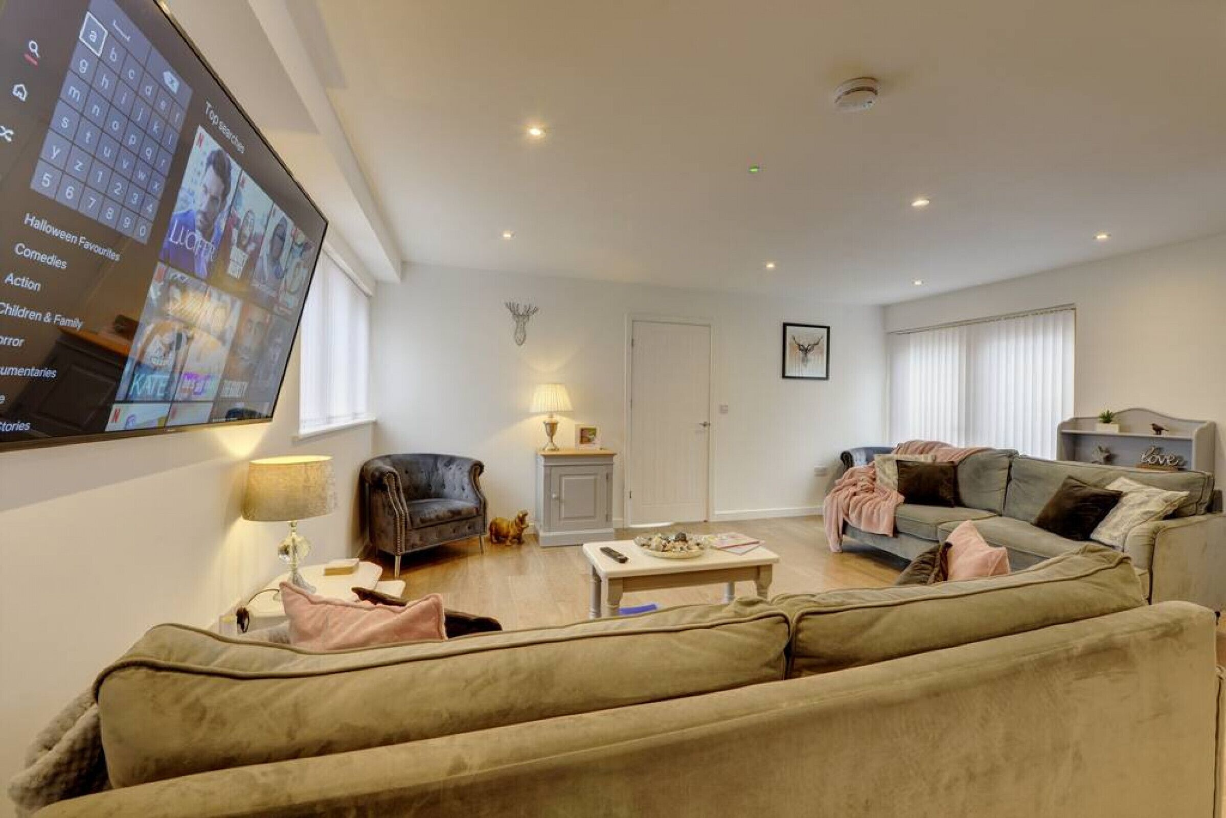 智能電視、書籍